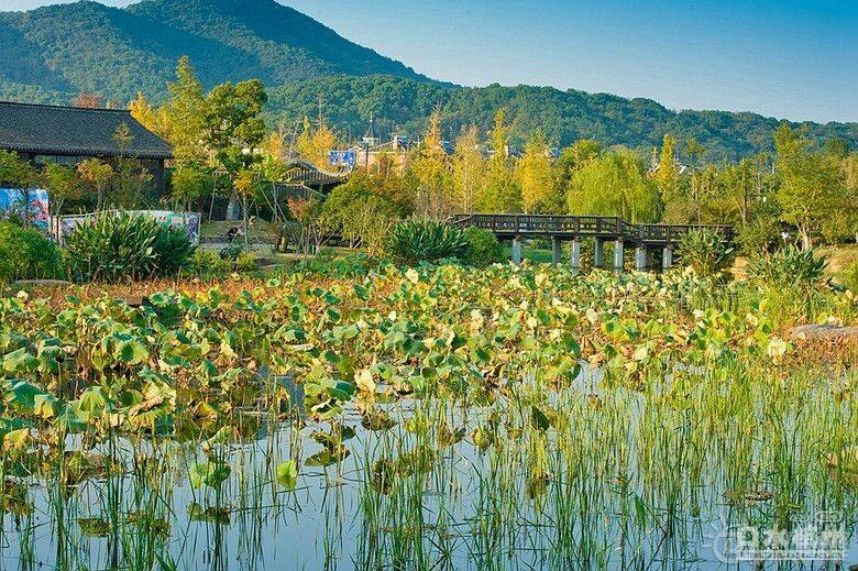 丁桥皋亭山景区风景美得不能再美了