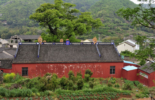 [风光人像] 告诉你一个好去处——定海茶人谷