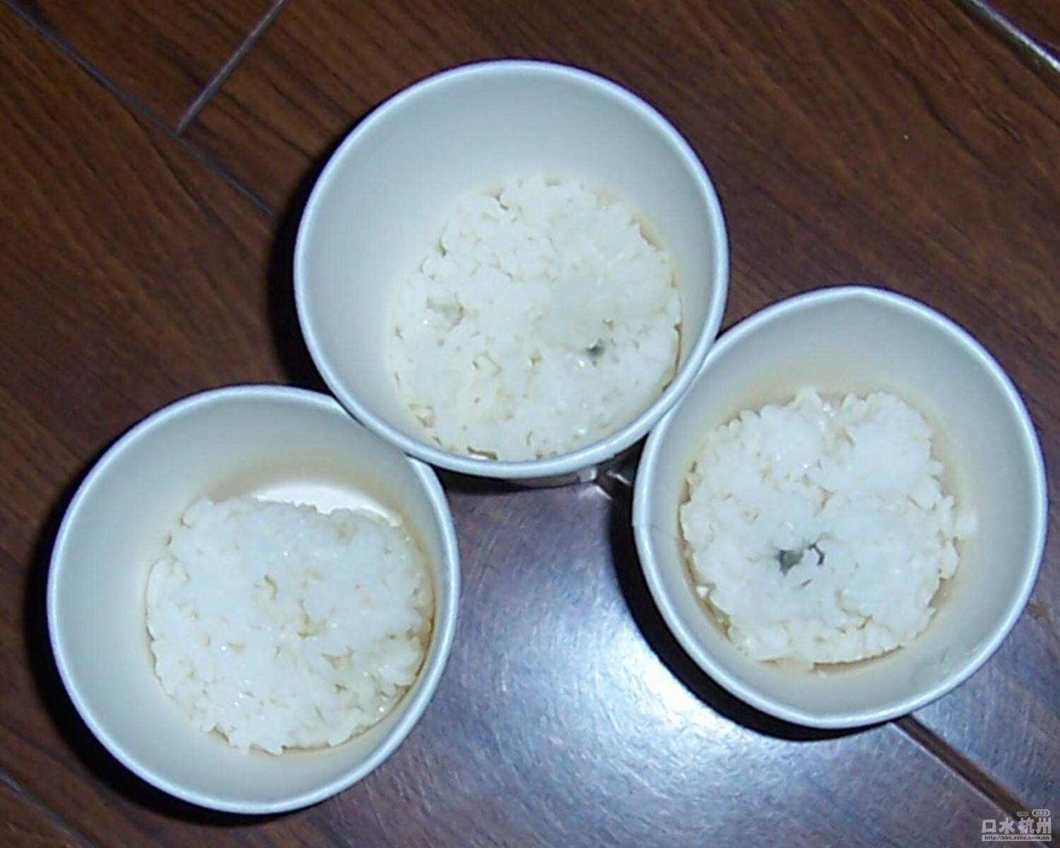 恐怖的米饭实验