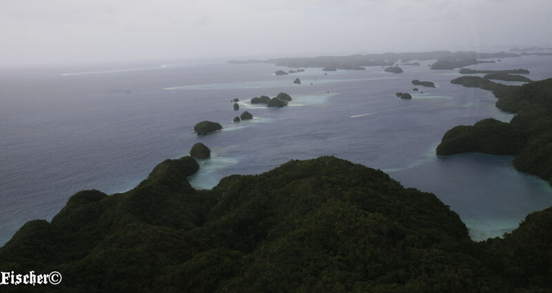 Palau-242.jpg