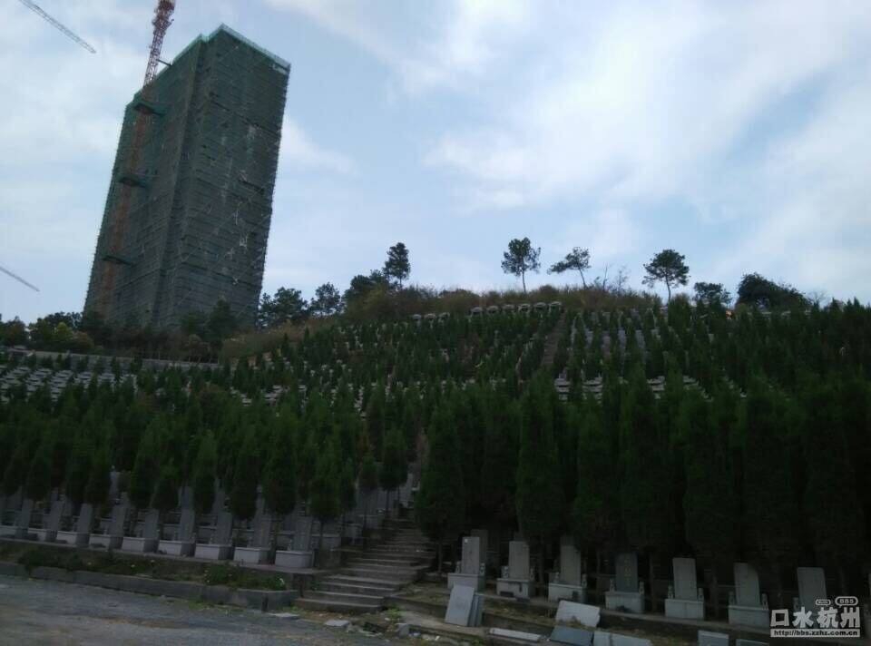 新湖果岭坟景图片