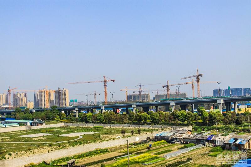 杭州笕桥口水图片