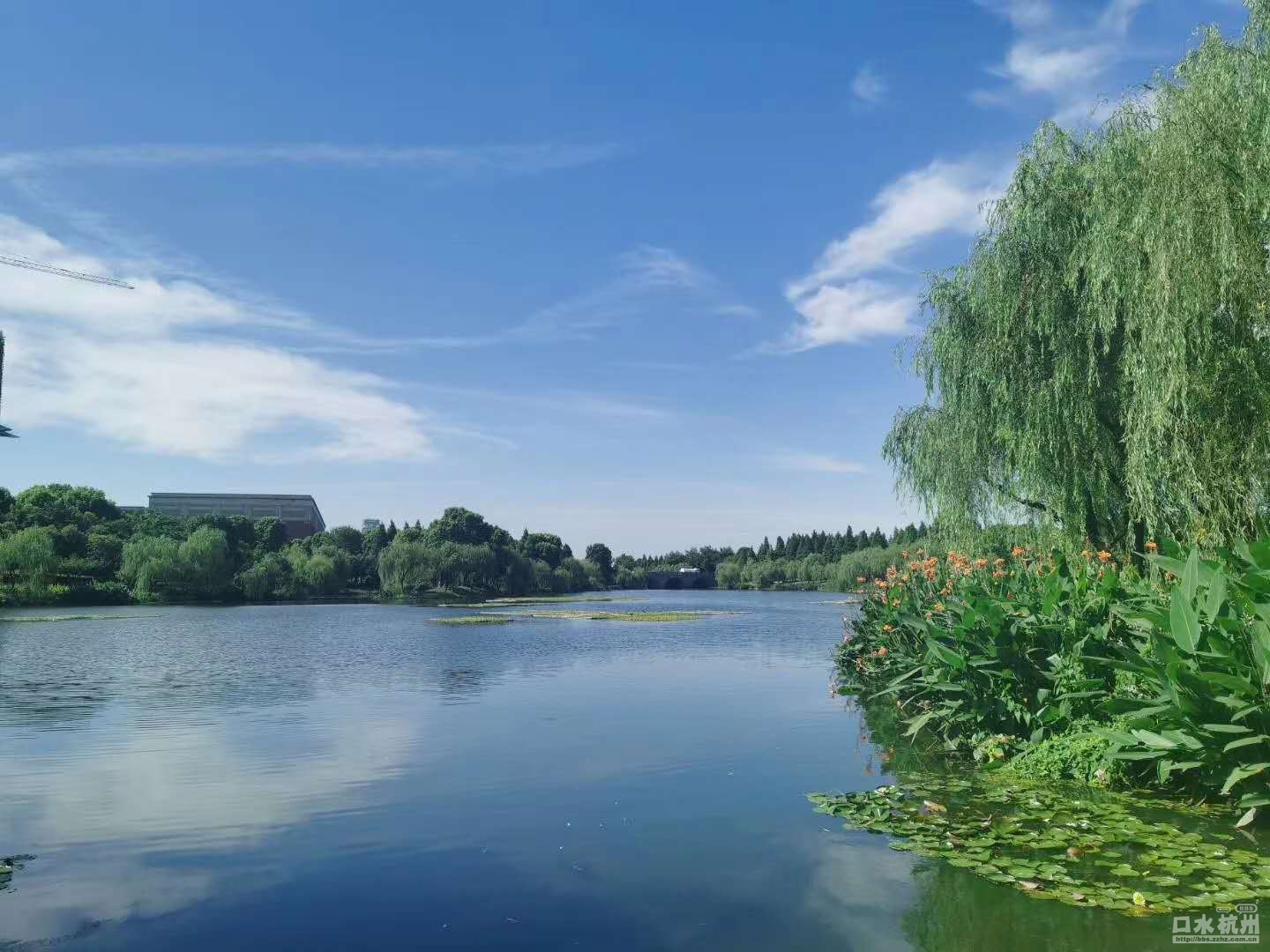 杭州东沙湖图片