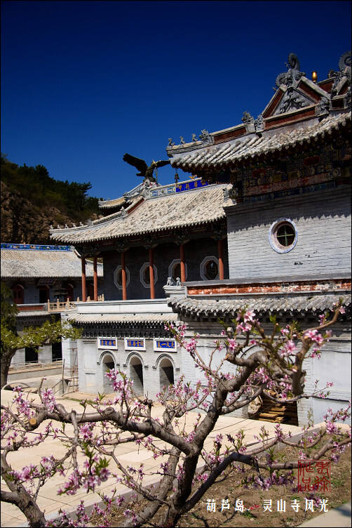 葫芦岛小灵山寺庙图片