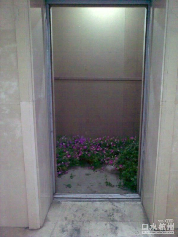 20100507103.jpg